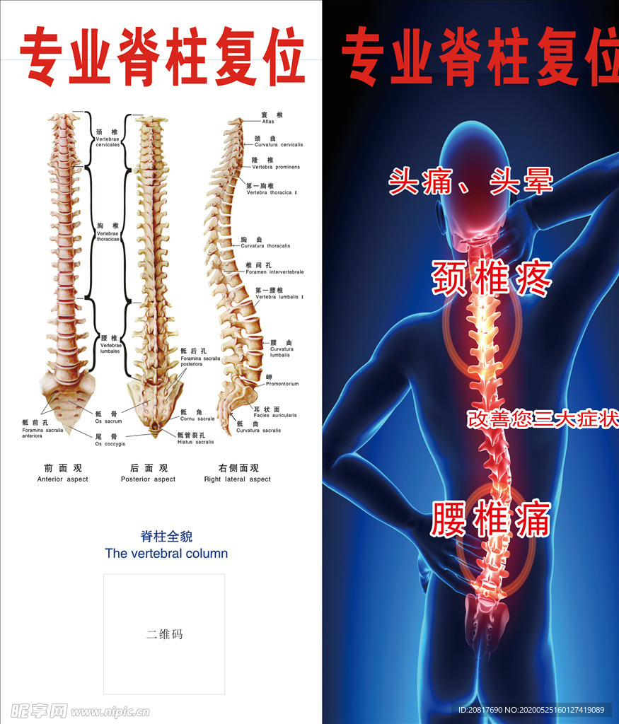 专业脊柱复位