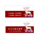 微信首图