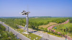 凤凰来仪 金属雕塑 亳州风景