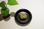 护芳阁黄金艾绒拍照养生