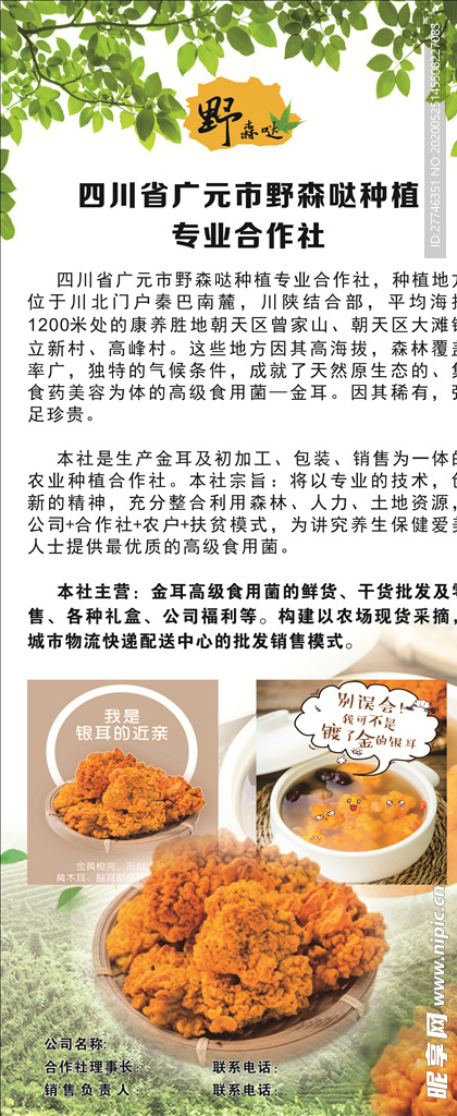 金耳展架