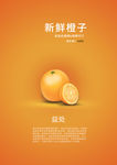 新鲜橙子海报