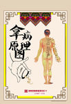 人体穴位
