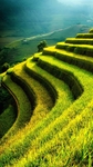 背景美图