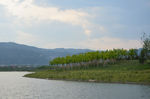 晋阳湖美景