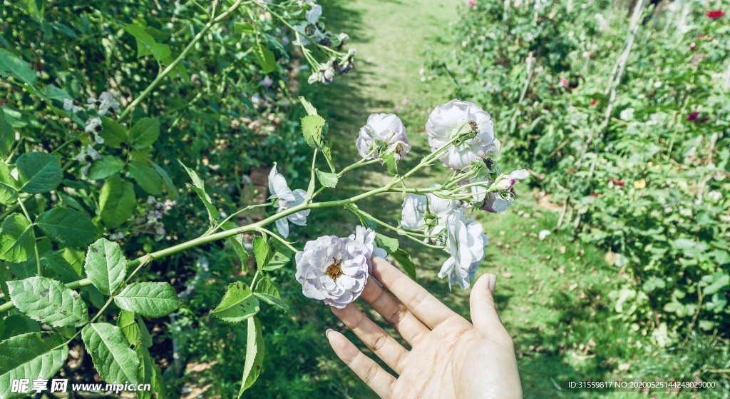 花