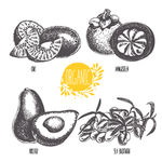 蔬菜素描