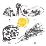 蔬菜素描