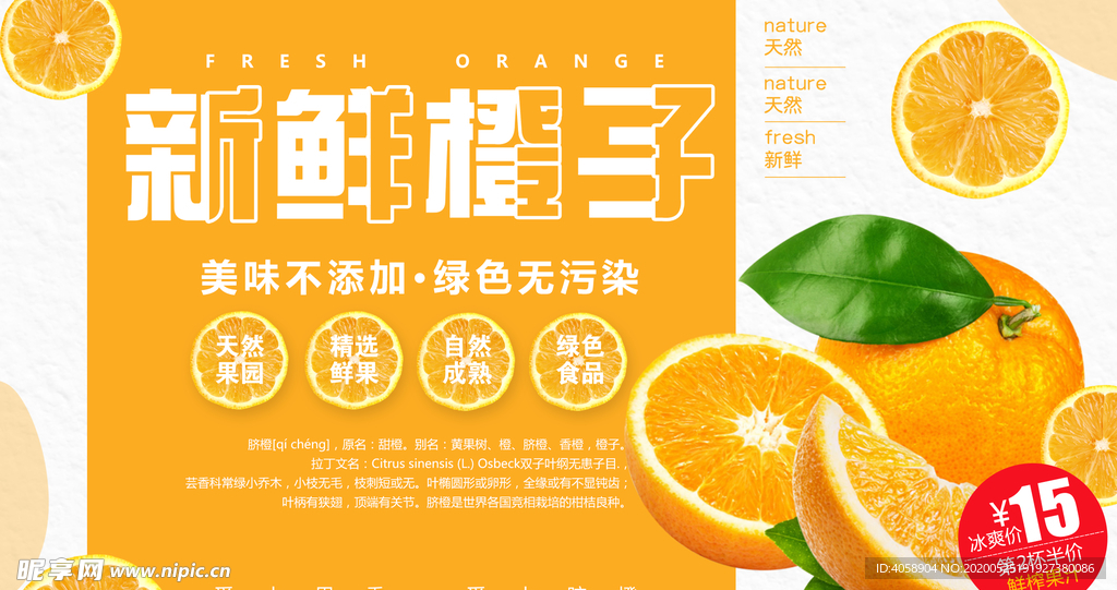 新鲜橙子