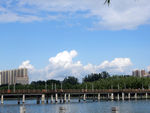 公园风景