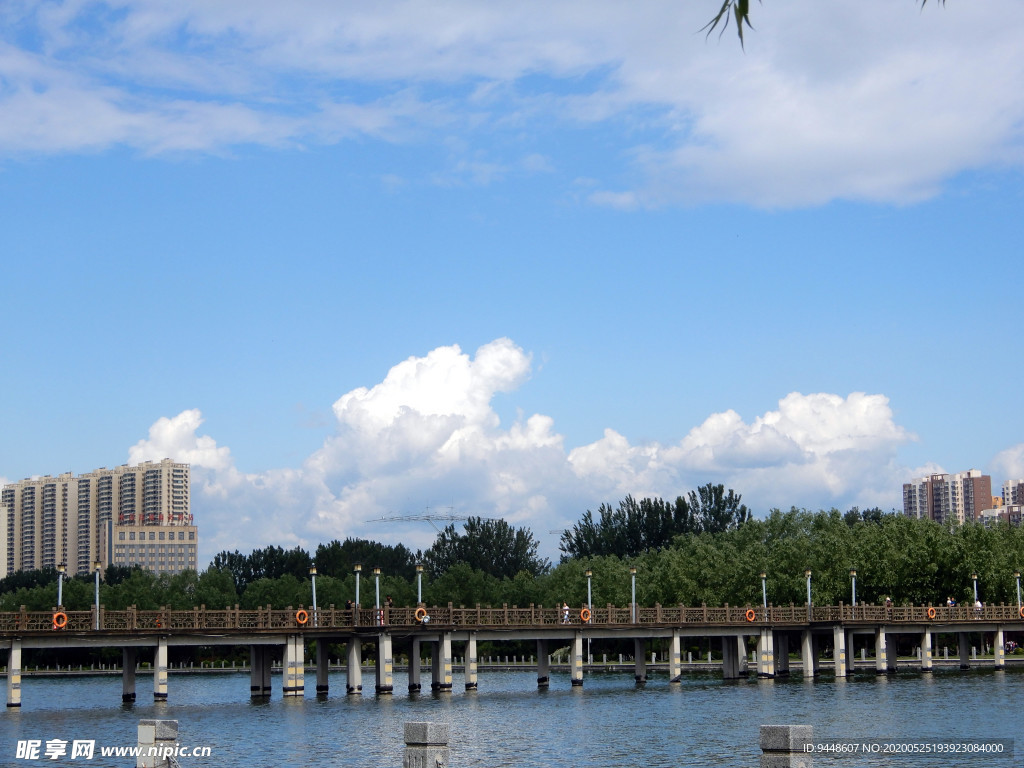 公园风景