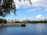 公园风景