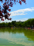 公园风景