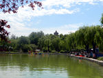 公园风景