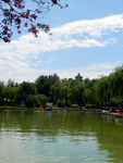 公园风景