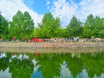 公园风景