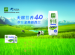 金典新西兰纯牛奶