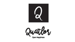 矢量字母logo标志Q元素