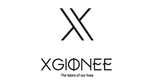 X字母logo标志元素
