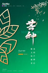 芒种