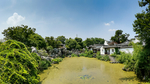 西溪湿地