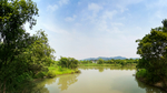 西溪湿地