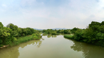 西溪湿地