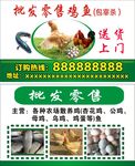 原生态鸡名片