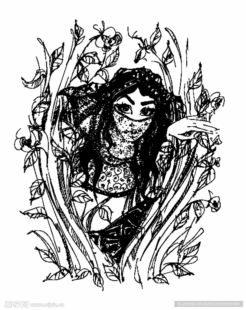 女性插画