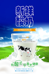 新鲜酸奶