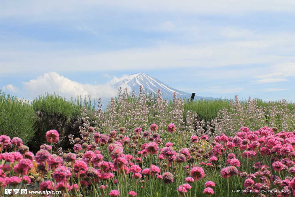 富士山风景图片