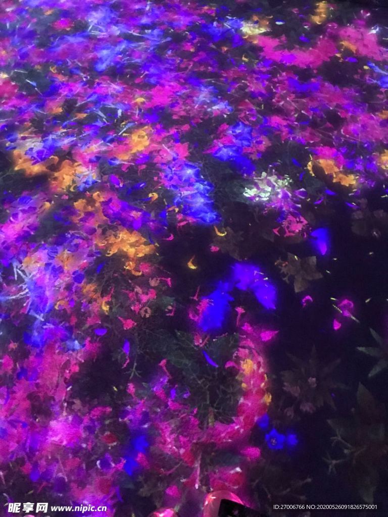 花瓣摄影