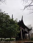 苏州枫桥