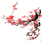 梅花素材