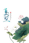 夏至节气