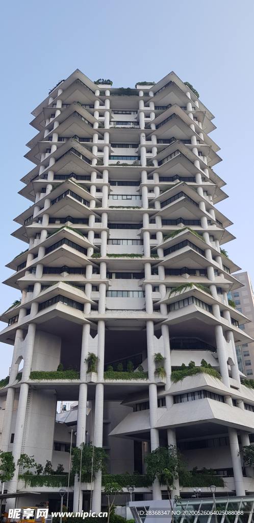 大楼