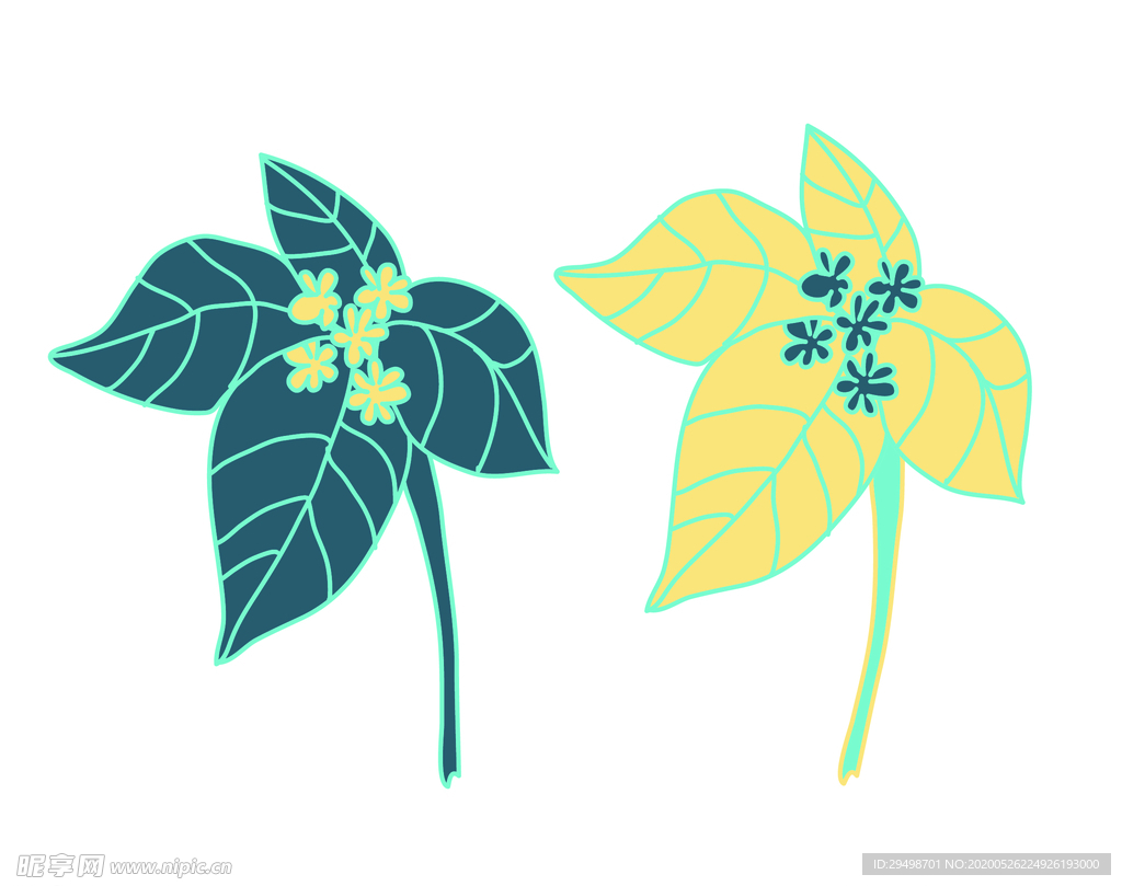 花