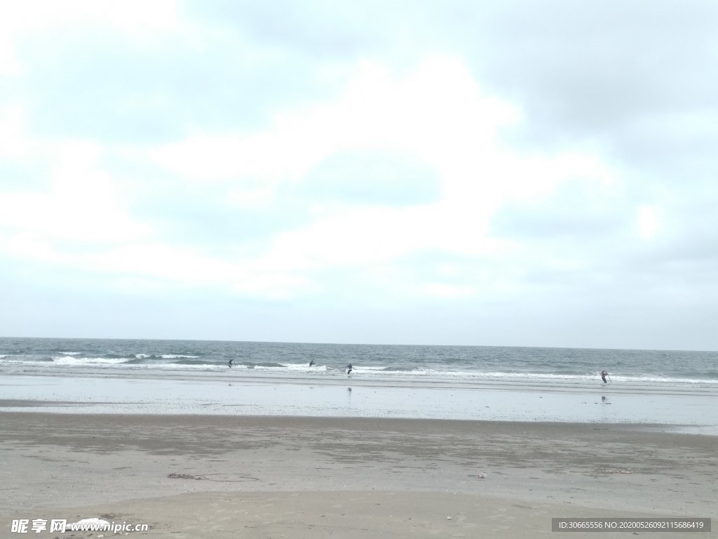 海