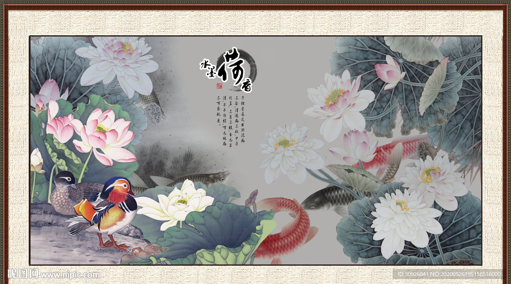 牡丹鲤鱼