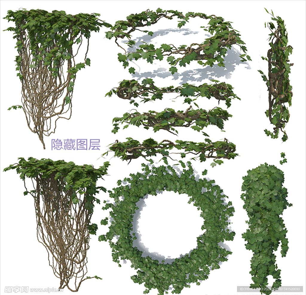 攀爬植物