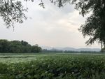 颐和园景色
