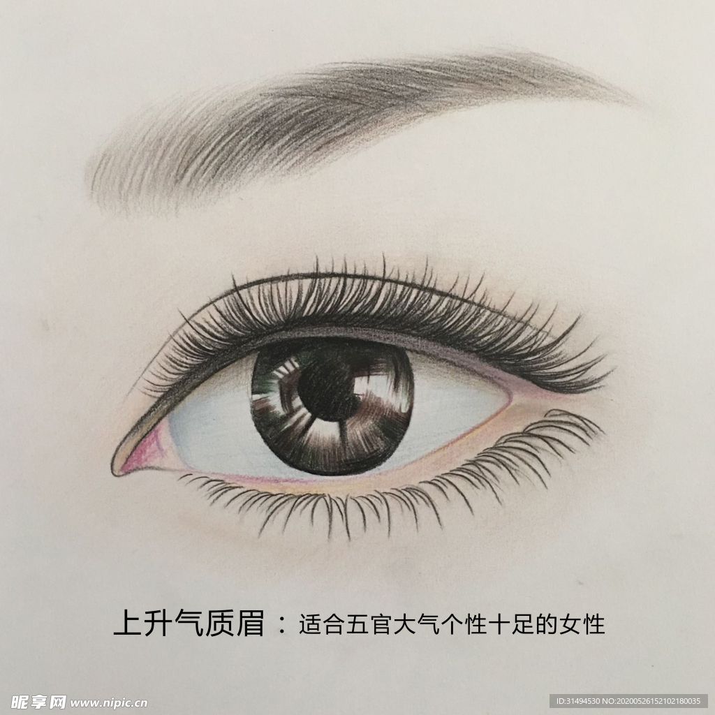 气质眉