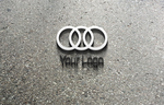 logo样机