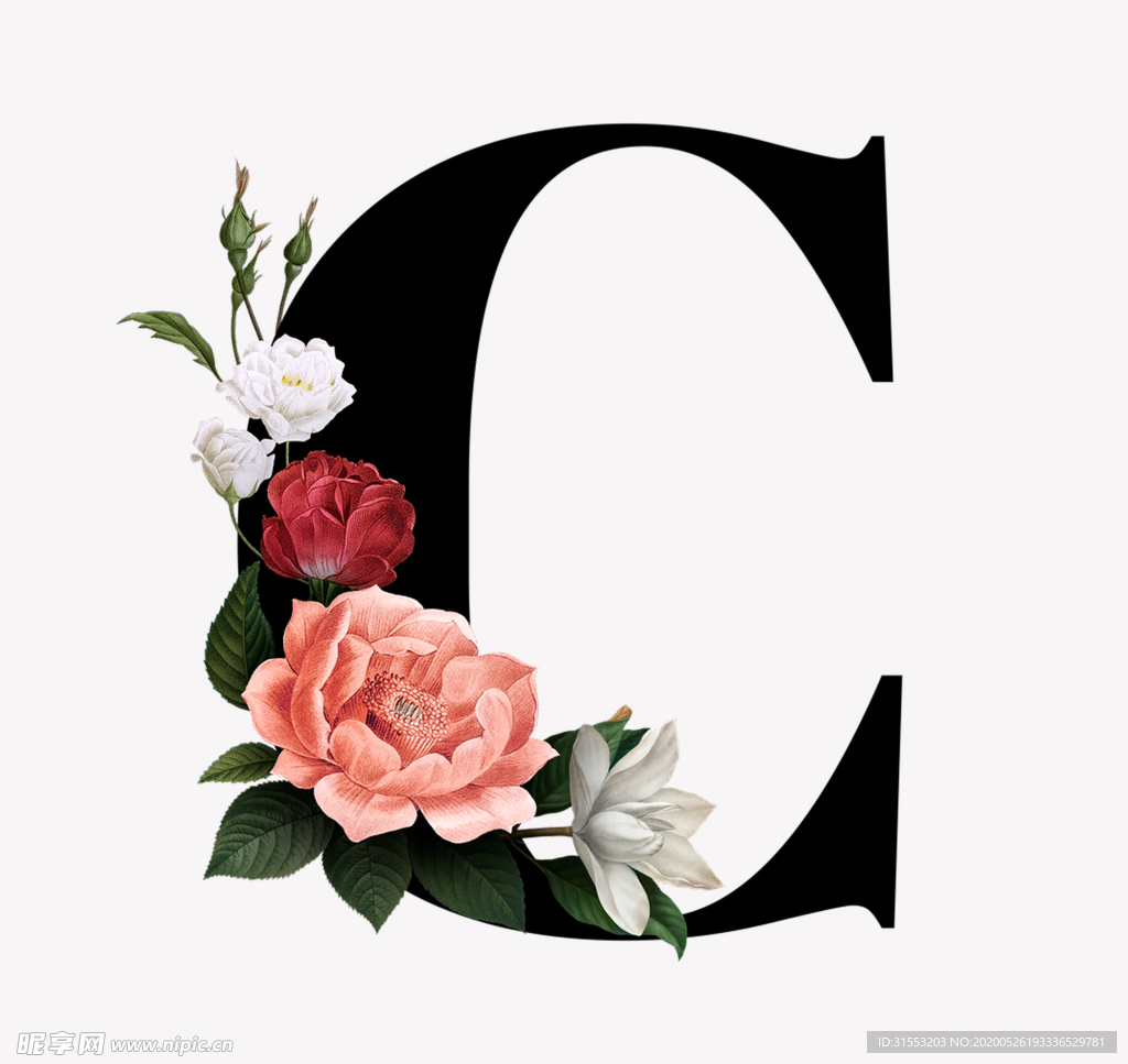 花 字母C