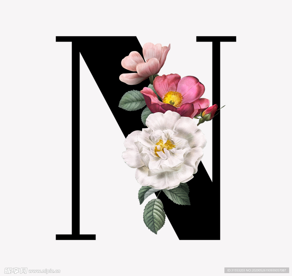 花 字母 N