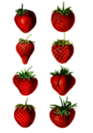 手绘草莓素材 PNG 免抠