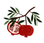 手绘石榴 PNG 免抠