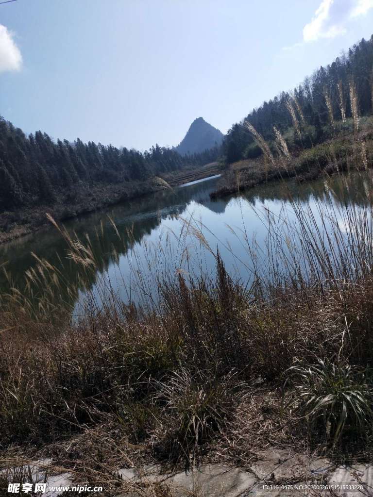 花草素材