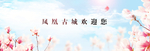 蓝天白云花朵