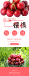 樱桃展架